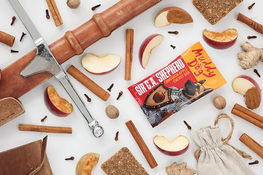Sir C.A. Shepherd - Cinnamon Apple Energy Bar - 12ct
